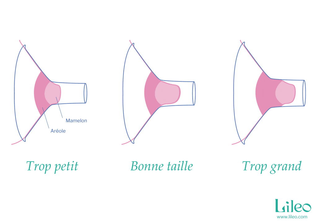 Taille téterelle